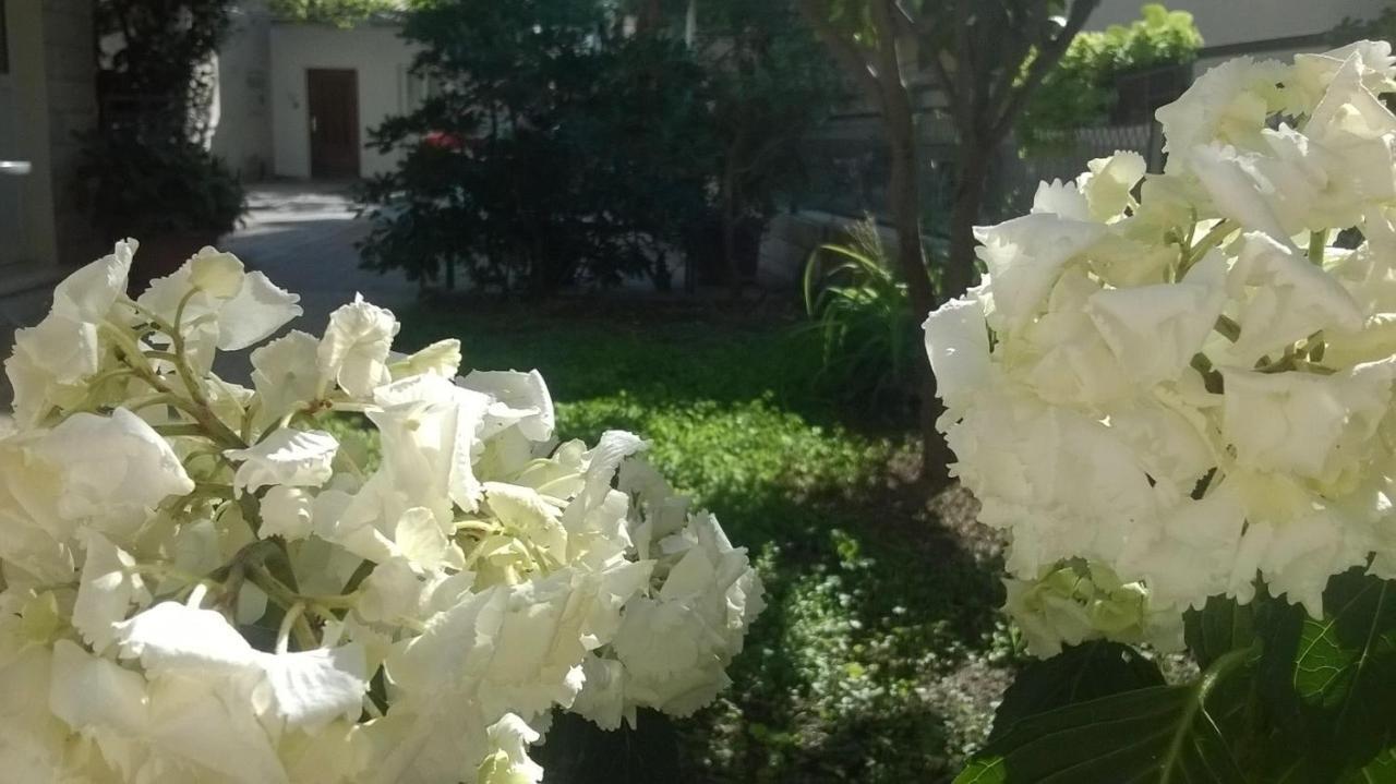 Apartman Renata Omiš Εξωτερικό φωτογραφία